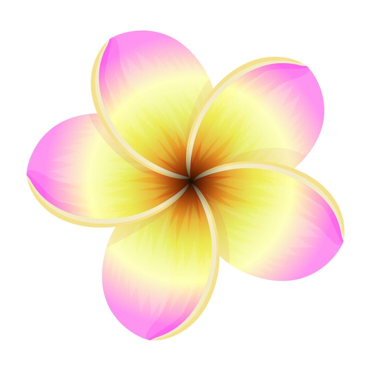 Vector plumeria bloeiende bloem