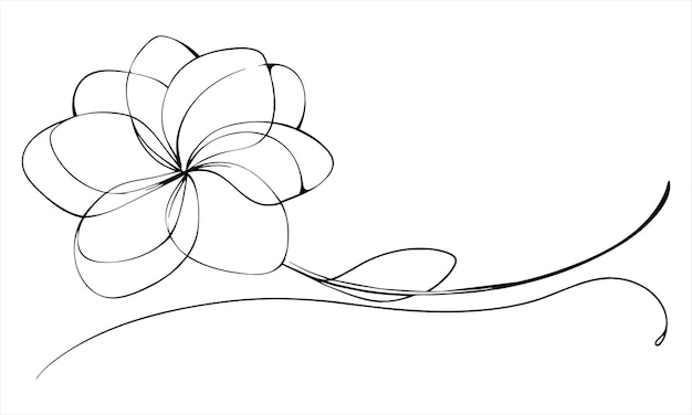 Flore di plumeria una linea di disegno continuo su sfondo bianco