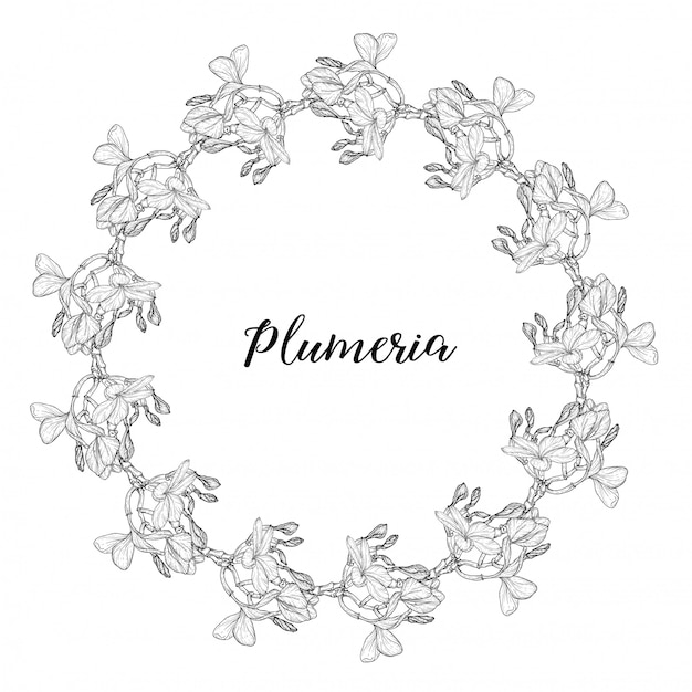 Plumeria. Hawaii, Bali, Indonesia, Sri Lanka Tropical Flower Necklaces.   illustration