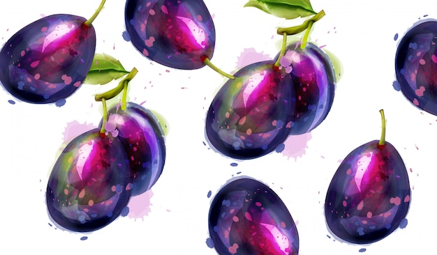 Plums fruits watercolor