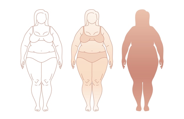 Vector plussize vrouw vector set van groot mollig lichaam positieve vrouw met dikke bochtige figuren aantrekkelijke vrouw staande in lingerie vector lijn schets illustratie