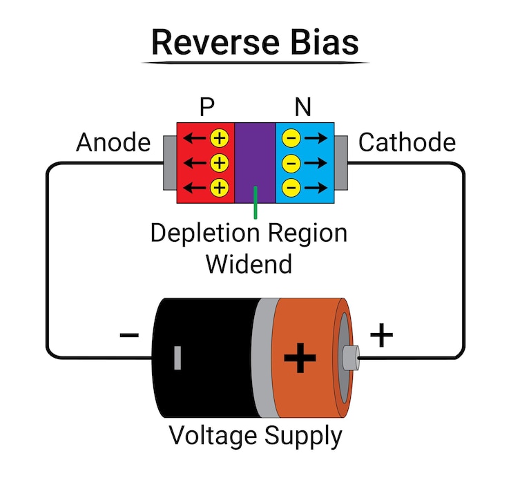 वेक्टर pn junction diode reverse bias