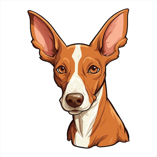 Vector podenco ibicenco dog breed cute cartoon kawaii character animal pet isolated sticker illustration