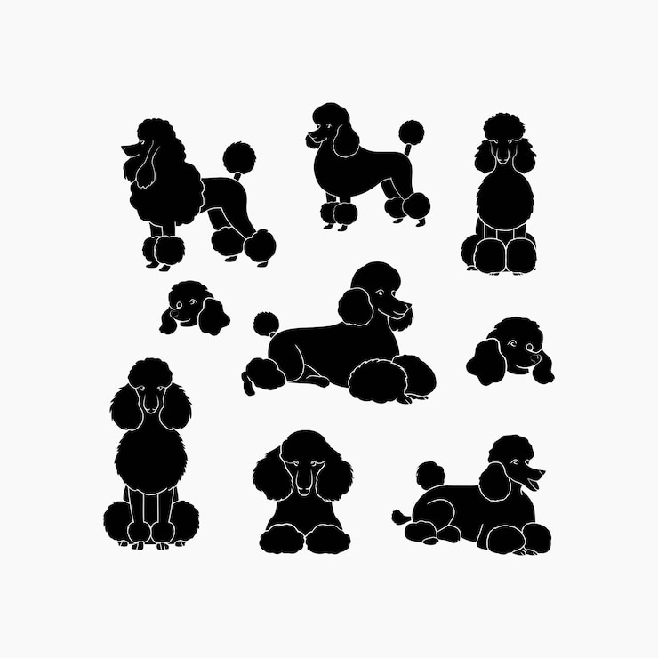 Vector poedel hond silhouet set dieren vector sjabloon