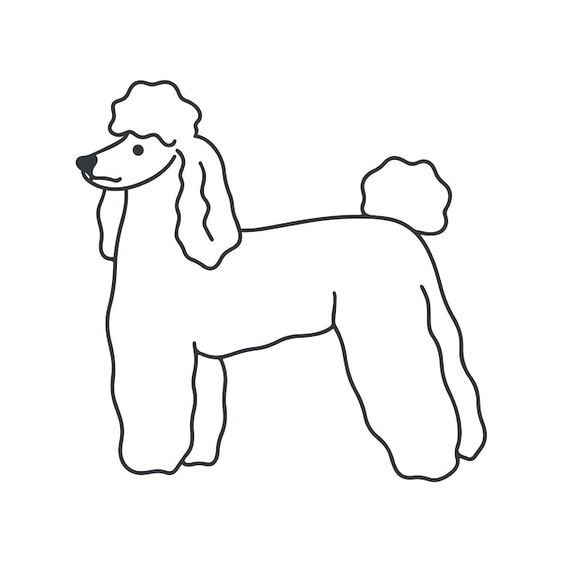 Poedel hond staat doodle stijl vectorillustratie