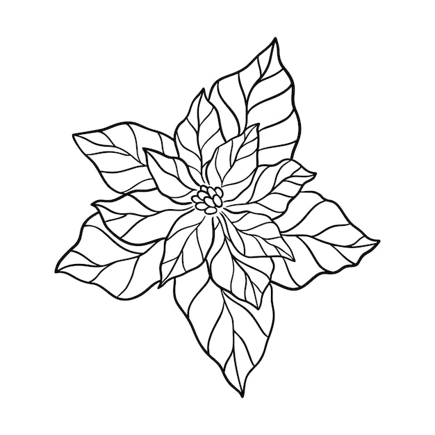 Poinsettia blad vectorillustratie. Floral hand getekende tak, kerst lineair element. Xmas elegante silhouet bovenaanzicht geïsoleerd op een witte achtergrond. Poinsettia gebladerte silhouet, zeer fijne tekeningen.