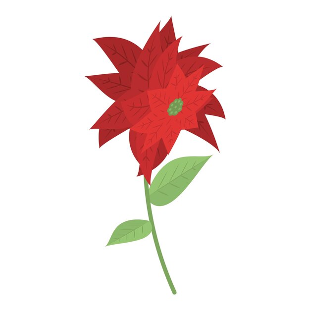 Vector poinsettia bloem pictogram isometrisch van poinsettia bloem vector pictogram voor webdesign geïsoleerd op een witte achtergrond