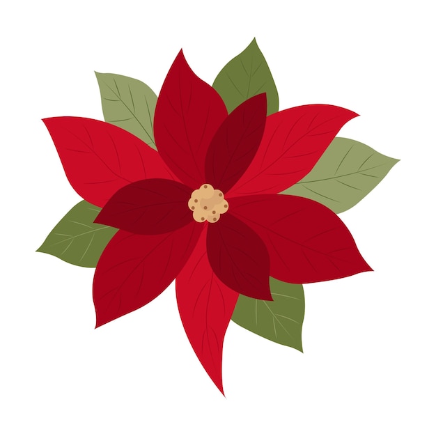 Poinsettia flat style