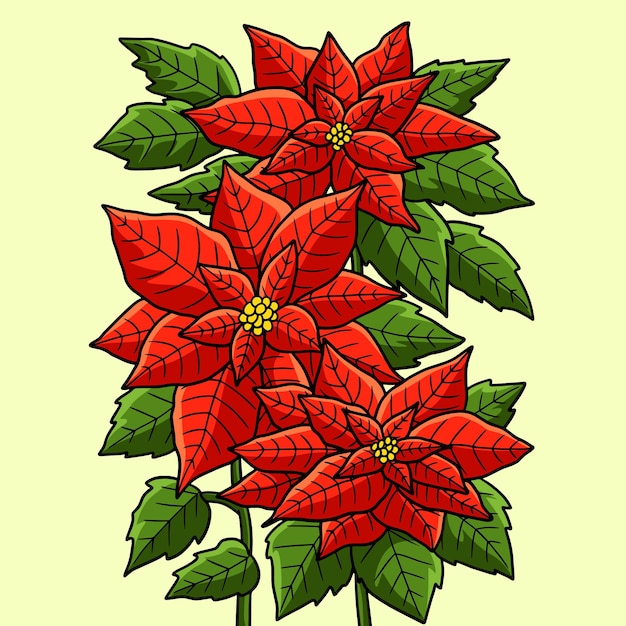 Vettore poinsettia fiore colorato fumetto illustrazione