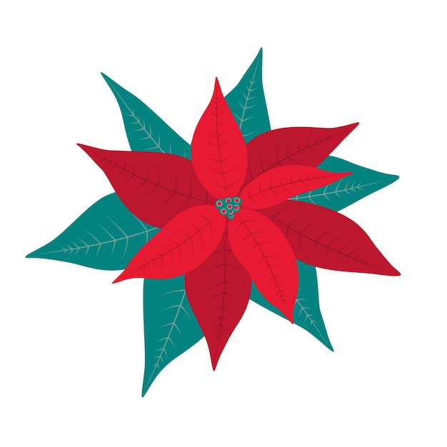 Poinsettia Rode traditie Kerst bloem Platte cartoon vector