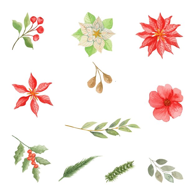 Poinsettia Watercolor Floral Clipart with leaves sets