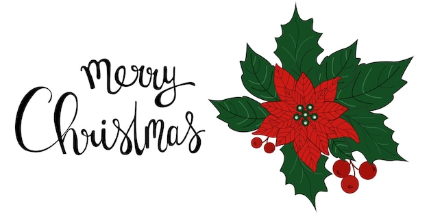 Poinsettia on white background and hand lettering Merry Christmas