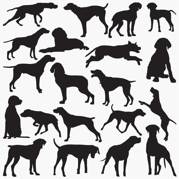 Vector pointer dog silhouettes