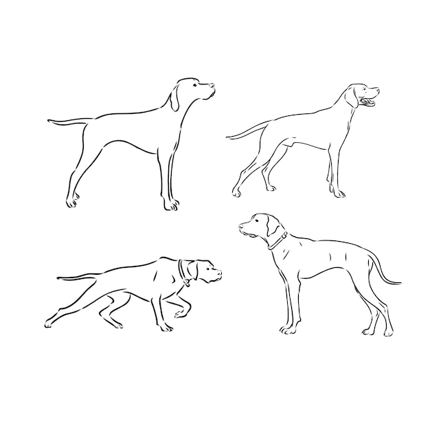 Указатель охотничьей собаки эскиз контурной векторной иллюстрации Указатель векторный эскиз собаки