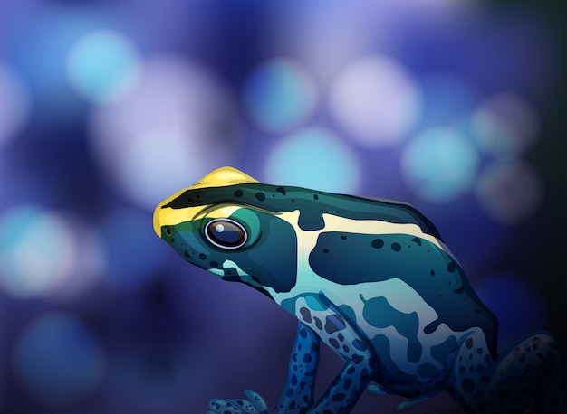 Poison dart frog op blauwe achtergrond