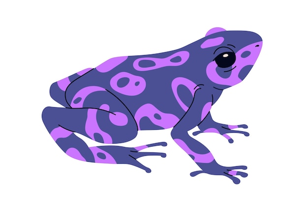 Poison dart frog of purple color. Exotic amphibian reptile. Tropical violet toxic froglet with spots. South American Amazon animal. Flat vector illustration isolated on white background.