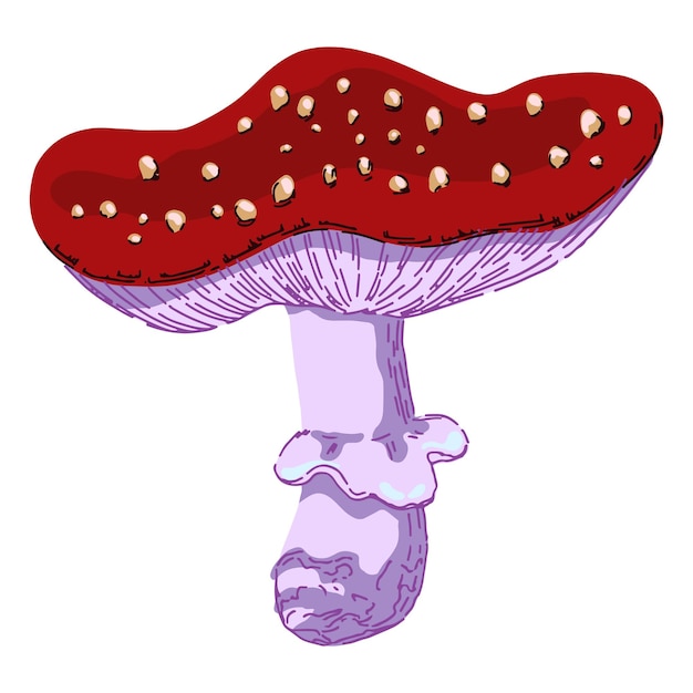 독 버섯 Amanita muscaria 추상 스타일의 비행 agaric 곰팡이 흰색 배경 현대 벡터 일러스트 레이 션에 고립 된 단일 현대 클립 아트