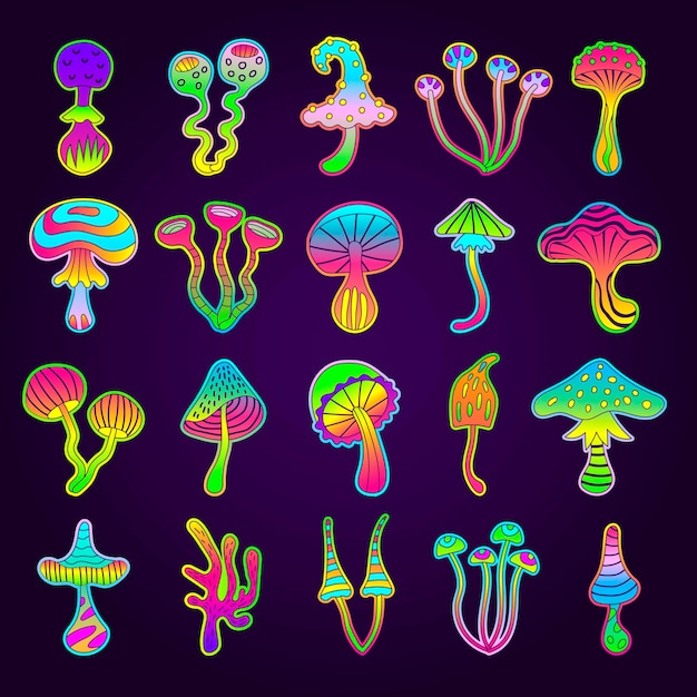 Poison mushroom Colorful fairytale magic toxic drugs from fantasy mushroom unhealthy products recent vector botanical illustration