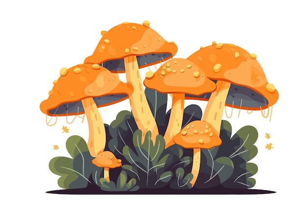 Poisonous fungi caps cluster on gilled stalks Isolated on white background Vector cartoon illustration