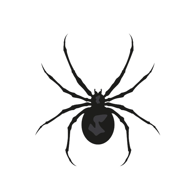 Poisonous spider black widow, spider silhouette.