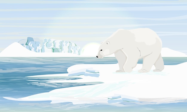 Вектор Белый медведь у моря. льдины и сугробы. реалистичные пейзажи арктики, канады, скандинавии.