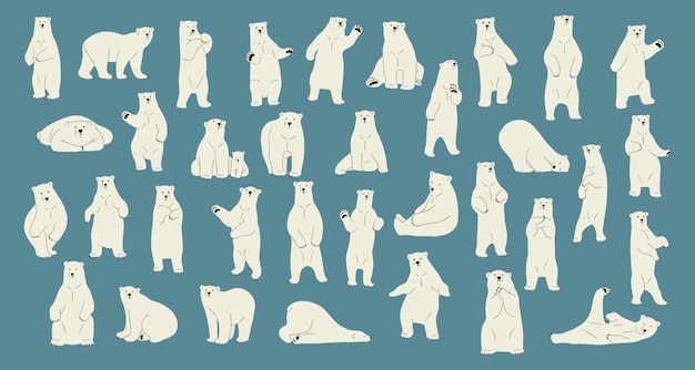 polar bear collection 1