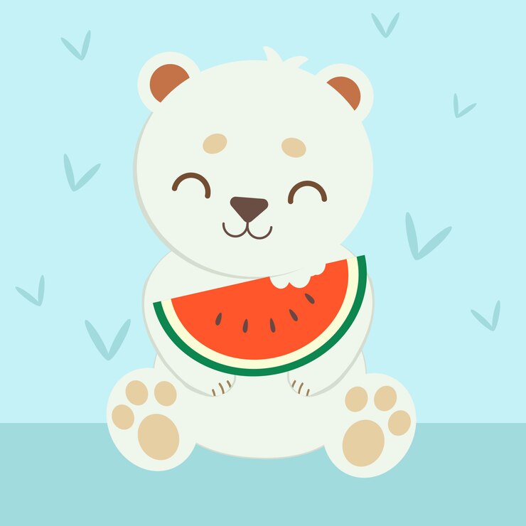 Polar bear eating water melon