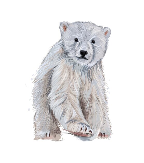 Polar bear from multicolored paints splash of watercolor colored drawing realistic