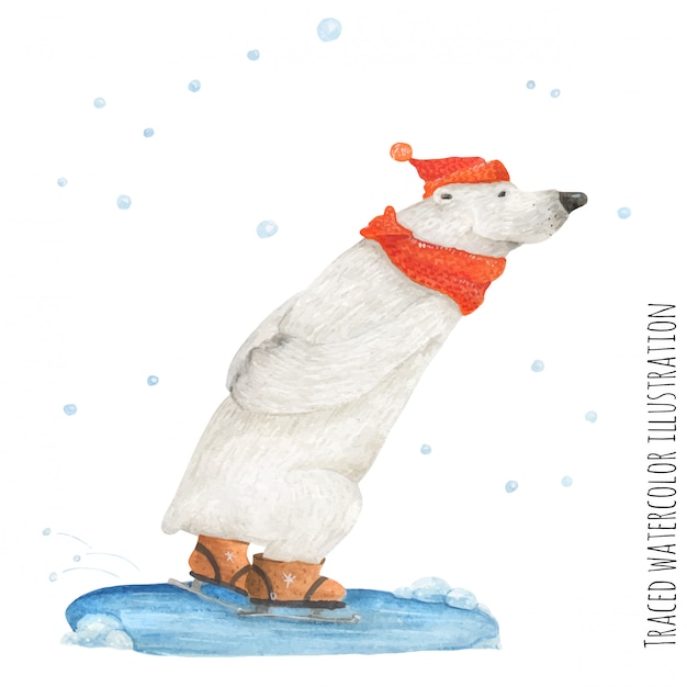 Polar bear skate in the snow