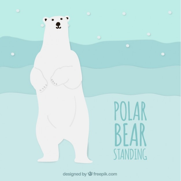 Polar bear standing