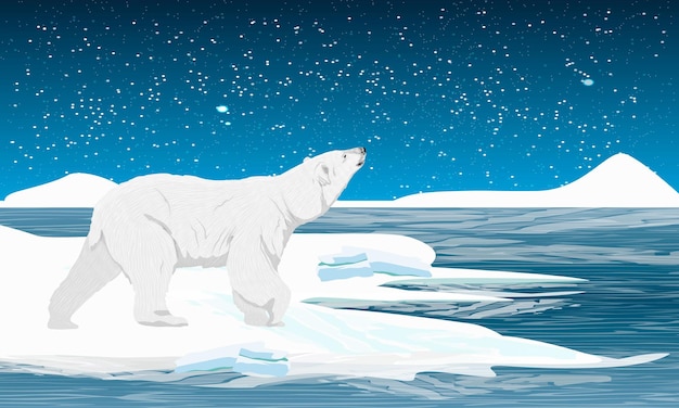 Un orso polare si trova sull'oceano e guarda le stelle una fredda notte innevata nell'estremo nord