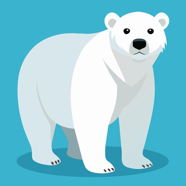 Vector polar bear vector cartoon illustration