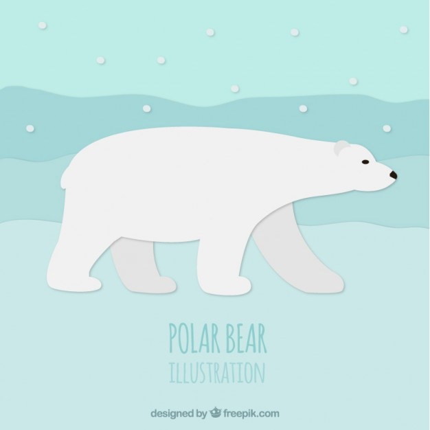 Polar bear