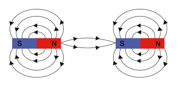 Vector polar magnet schemes electromagnetic field and magneticforse