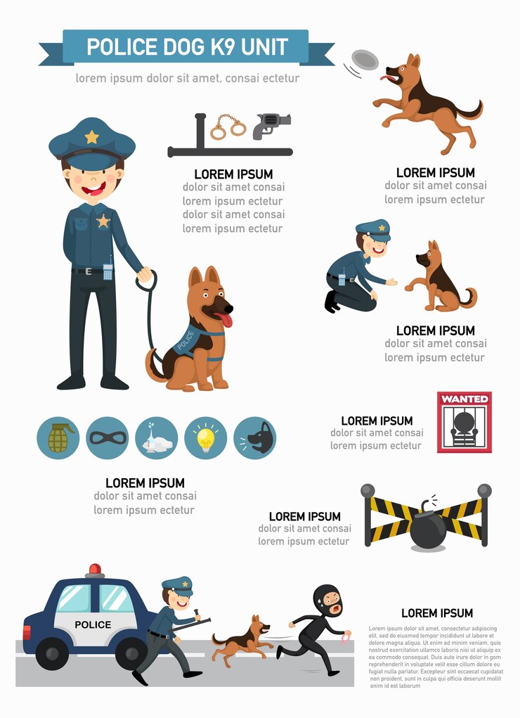 警察犬k9ユニットインフォグラフィック、ベクトルイラスト。