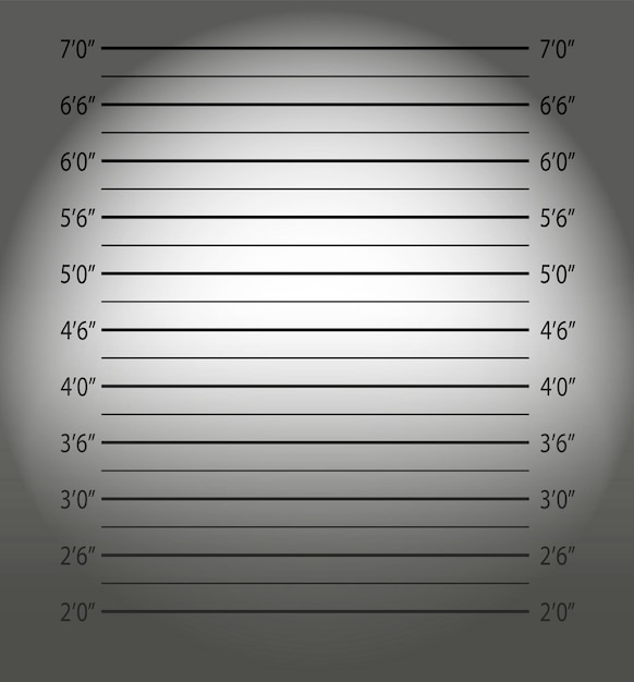 Vector police mugshotpolice lineup or mugshot background