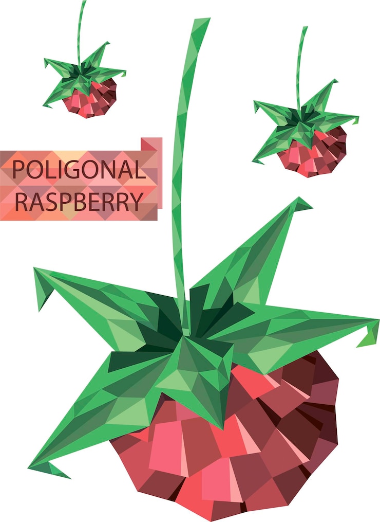Vector poligonal vector raspberry image with place for text