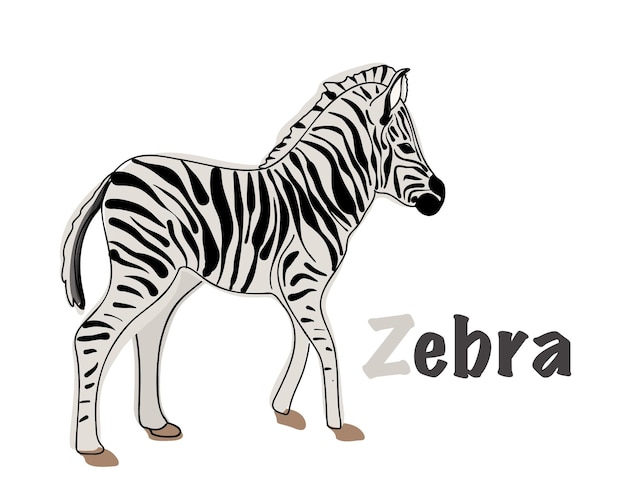 Polish alphabet with a picture of a zebra