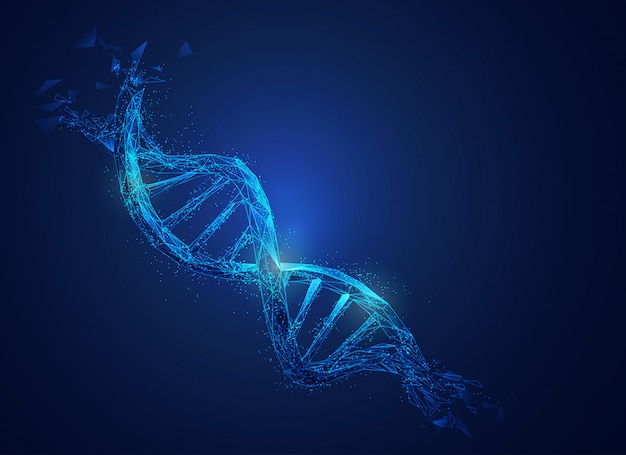 ベクトル 未来的な要素を持つポリゴンdna