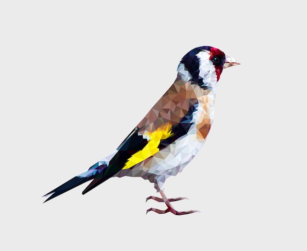 Vector polygonal bird