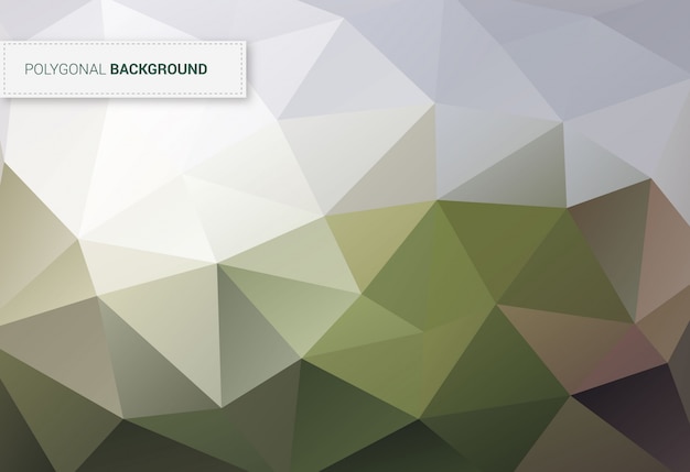 Vector polygonal covers background