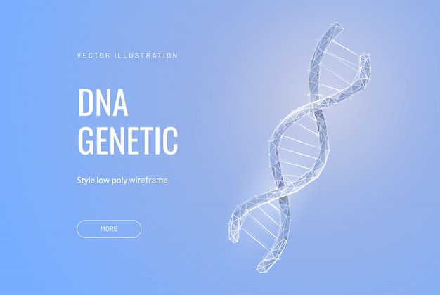 Vettore dna poligonale