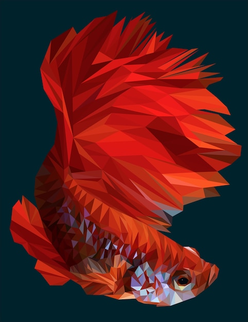 Vector polygonal illustration of betta or siamese fighting fish.