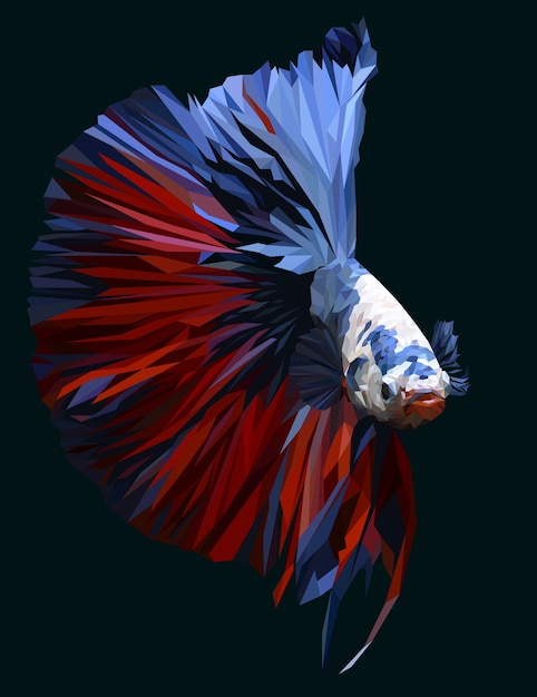 Vector polygonal illustration of betta or siamese fighting fish.