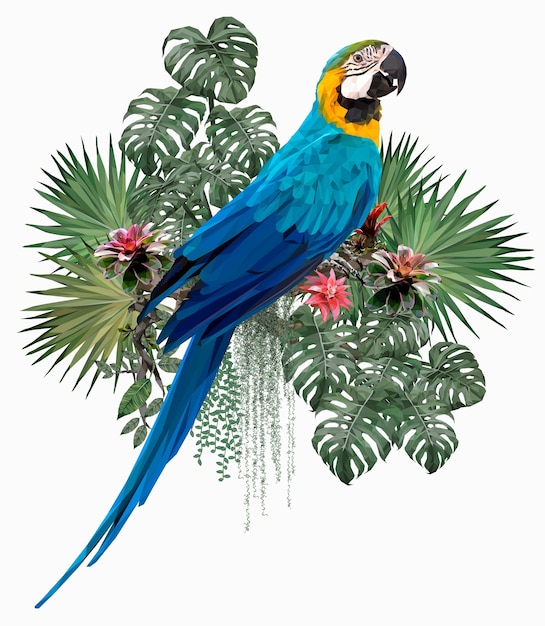 Polygonal Illustration Blue & gold macaw bird with Amazon leafs.