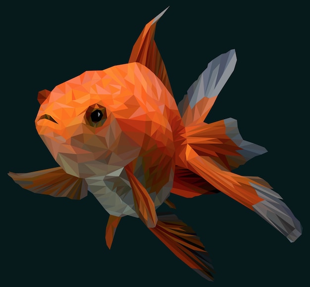 Vector polygonal illustration of gold fish
