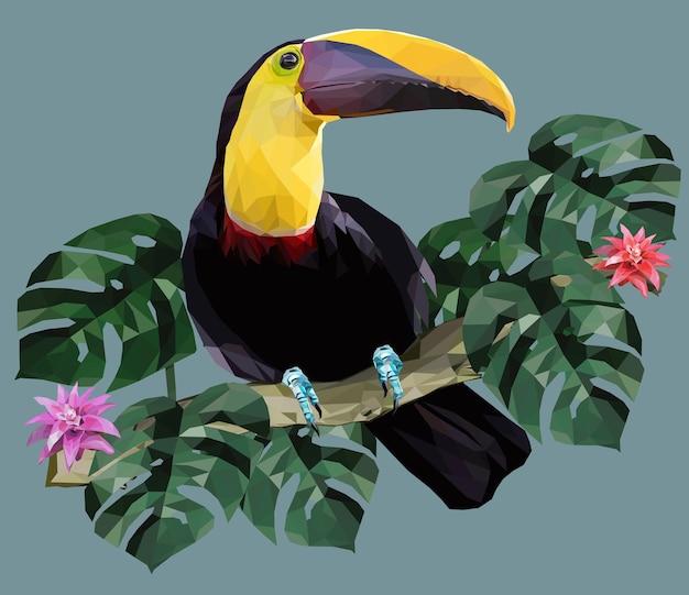 Vector polygonal illustration toucan bird and amazon forest plants.