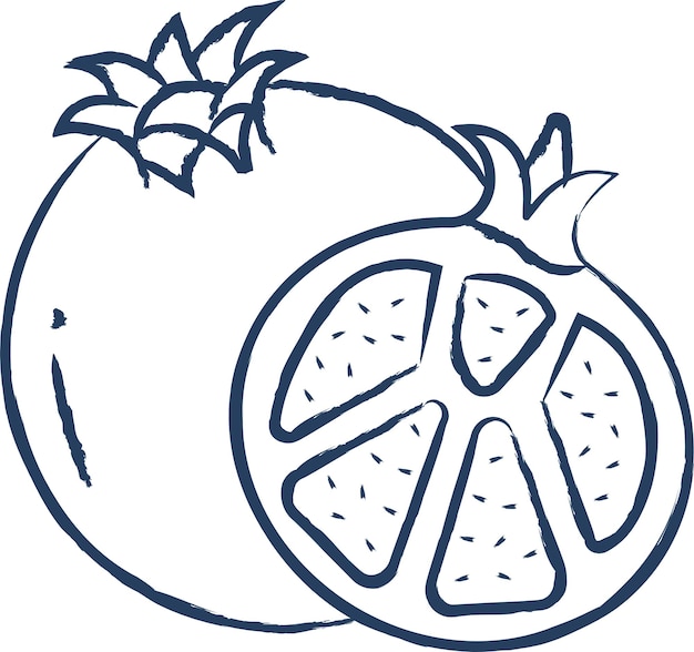 Pomegranate cut hand drawn vector illustration