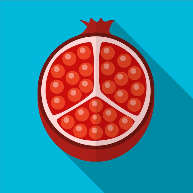 Pomegranate flat icon illustration isolated vector sign symbol