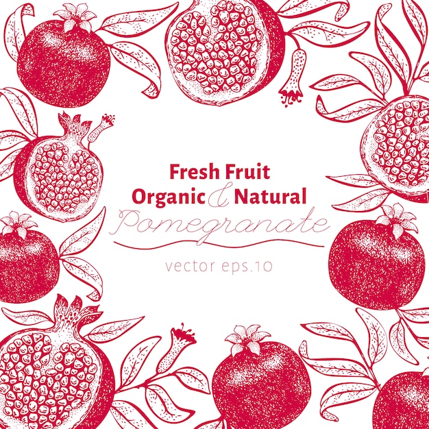 Modello di design di frutta melograno